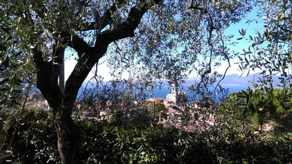 Cooking Class privata con vista lago in dimora esclusiva a Torri del Benaco 25